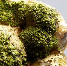 Pyromorphite Crystals Quartz Hard Rigg Edge Eden Cumbria UK Mineral Specimen 6cm