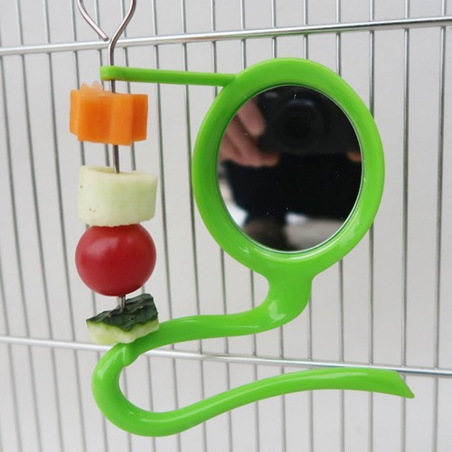 Pet parrot perch bird mirror - bird,