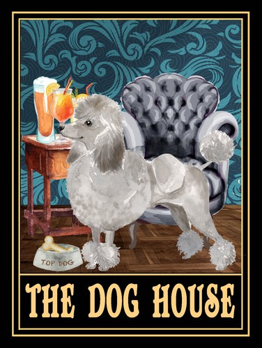 Grey poodle the - poodle, house