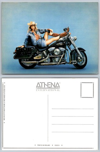 Robin koni easy rider - koni,