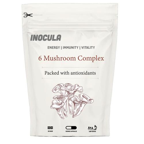 Mushroom complex lions mane - mushroom,