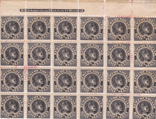Newfoundland 1894 black - ½c,