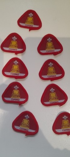 Vintage cub badge - -, computer