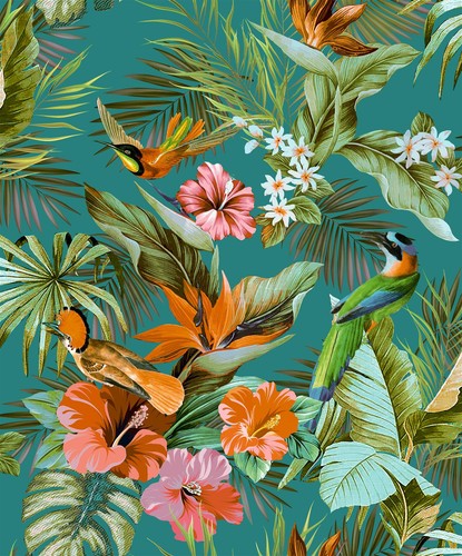 Rasch paradise birds - rasch,
