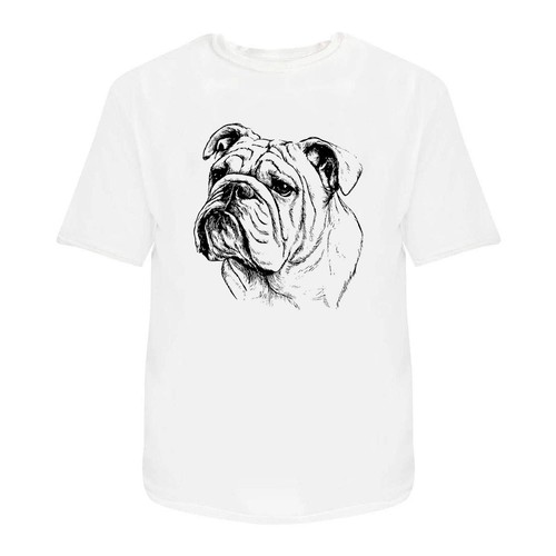 English bulldog portrait - 'english, portrait'