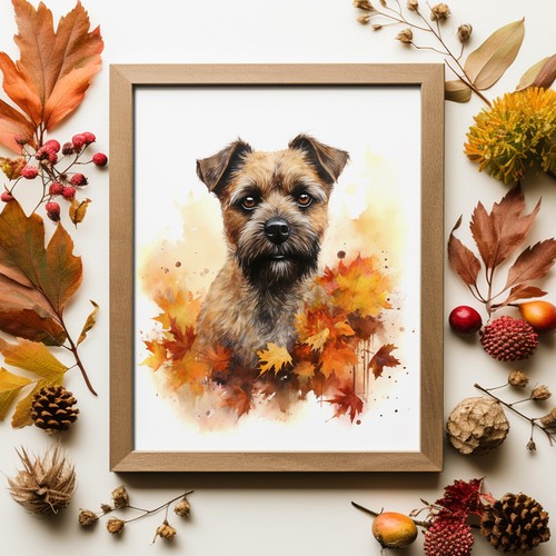 Border terrier autumn - terrier, in