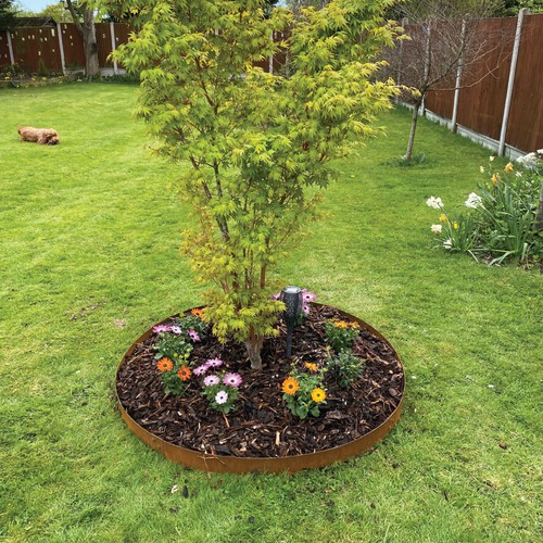Garden tree rings 3 - tree,