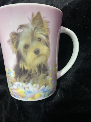 Yorkshire terrier mug yorkie - yorkshire,