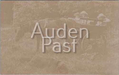 Rppc children horse - rppc,