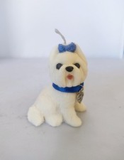 Cute little Maltese Puppy