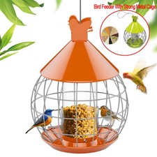 Large Heavy Duty Squirrel