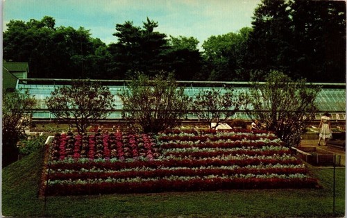 American flag flower bed - flag,