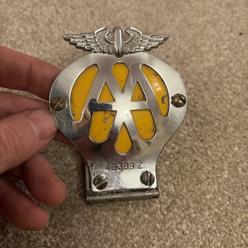 Car grille bonnet - grille, mascot