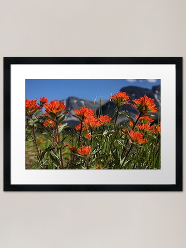 Need paintbrush framed - need,
