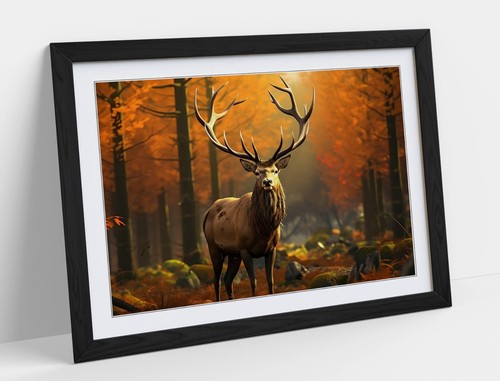 Beautiful stag orange - beautiful,