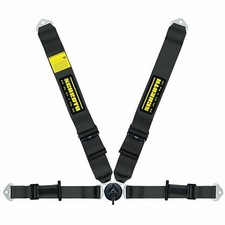 Schroth Caterham II ASM 4