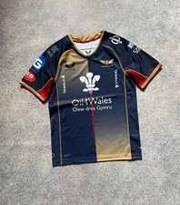 Llanelli Scarlets Rugby Away
