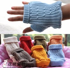 XXXXS/XXXS/XXS chihuahua