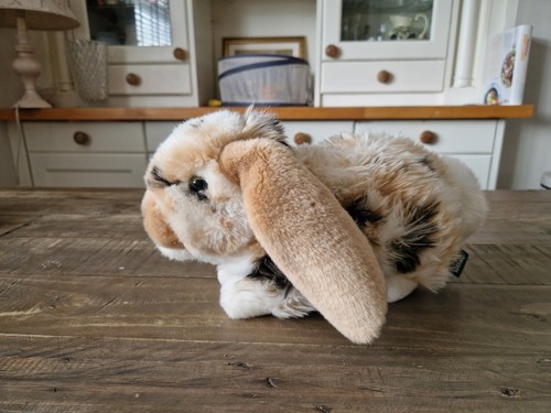 Lop eared rabbit soft plush - eared,