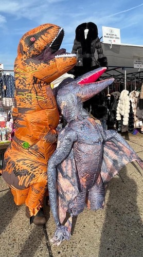 Adult rex are - adult,