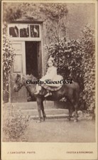 WONDERFUL CDV GIRL ON HORSE