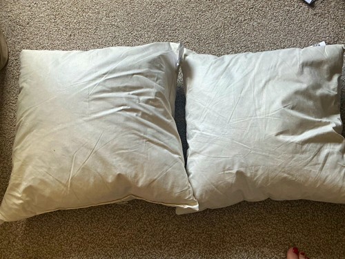 Feather scatter cushion x - scatter,