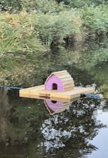 The floating duck pod - duck,