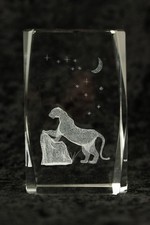 Panther Stary Night 3D Laser