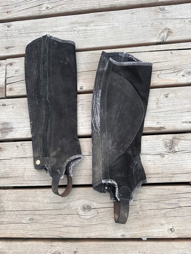 Horse tack medium black - -, half