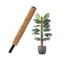 Coco Fibre Moss Pole Climbing Plant Support Cane Non Extendable Support 60cm