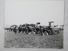 Thwaites Ales Manns Brewery Drays Shire Horses Royal Show 1963 VTG Press Photo