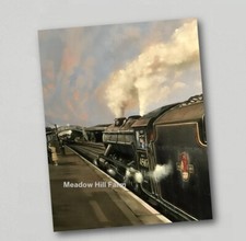 Fridge Magnet BR Black 5 Steam