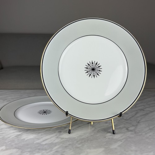 Set dinner plates - of, 2