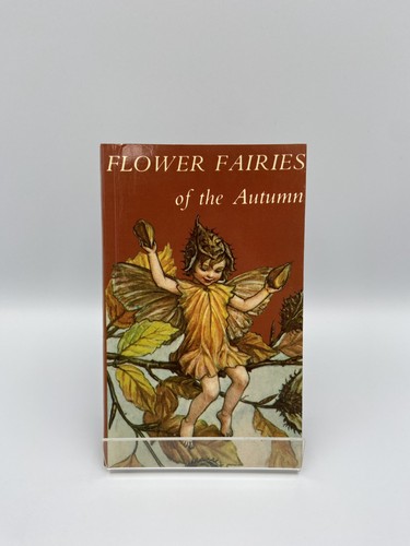 Flower fairies the autumn - flower,