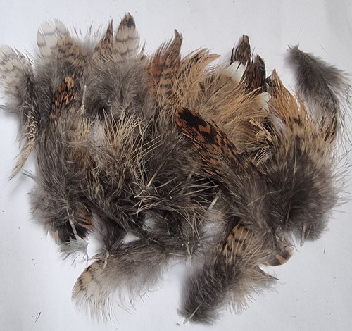 Woodcock body plumage - 50,