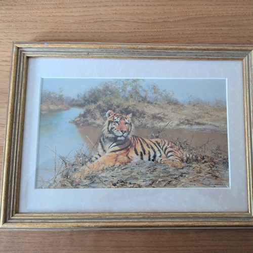 David shepherd tiger the - in,