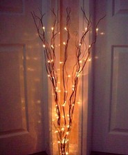 Willow Twig Branch Light 60