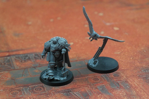 Pre loved inquisitor - pre-loved, coteaz