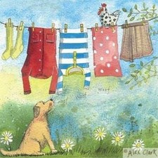 funny dog & chicken card