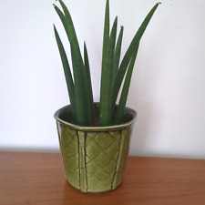 Vintage Churchill Plant Pot Holder Green Bamboo Mid Century 60s 70s