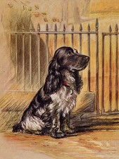 COCKER SPANIEL CHARMING DOG GREETINGS NOTE CARD BEAUTIFUL BLUE ROAN SITS BY GATE