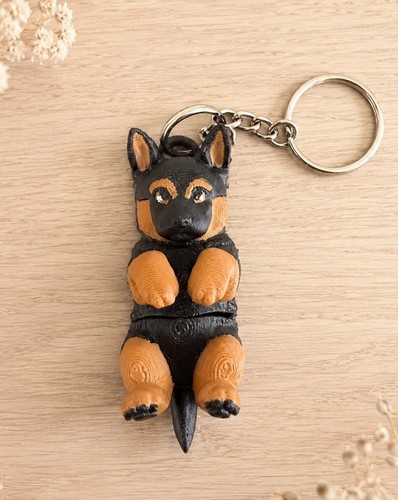 German shepherd alsatian - shepherd,