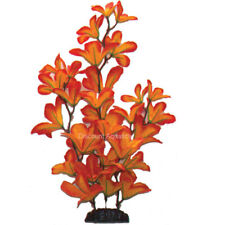 SUNSET MACRANDRA  SILK