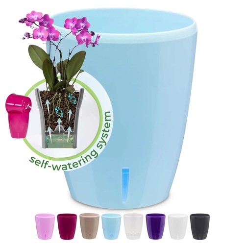 Orchidea self watering - orchidea, self-watering