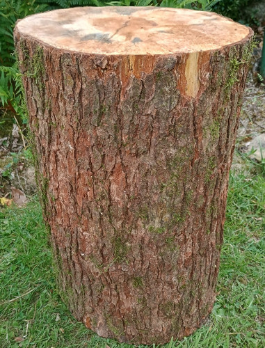 Tree stump table - , handmade