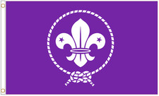Scout Movement Purple