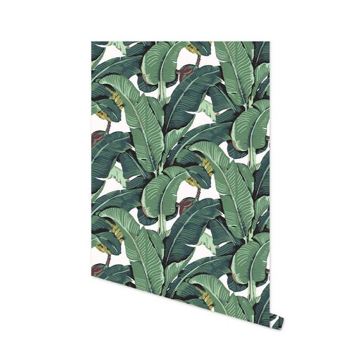 Tropical palm leaf - tropical, and