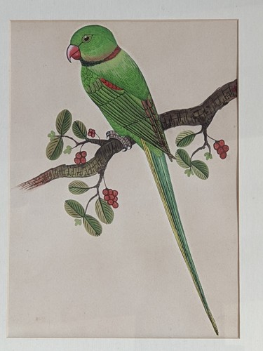 Original watercolour painting