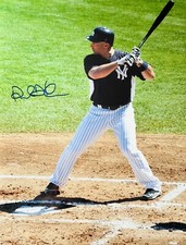 RAUL IBANEZ 2012 New York