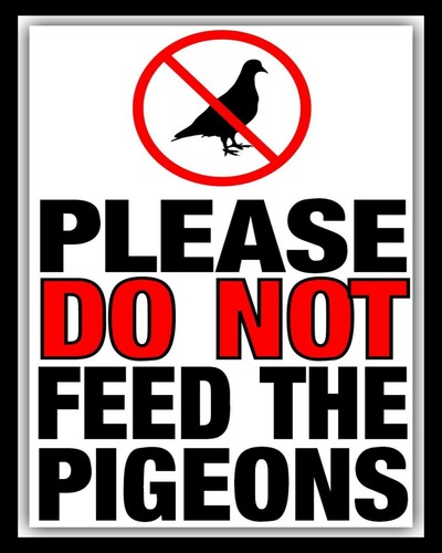 Please not feed the - do,